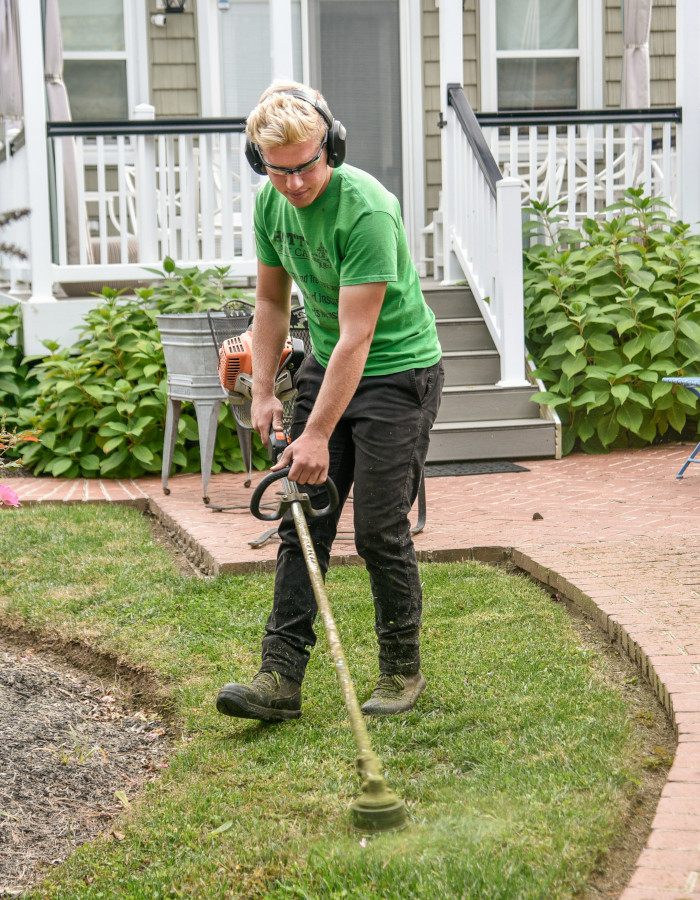 Servicios de jardinería en Segovia